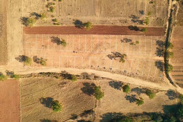 Terrain, Es Sénia