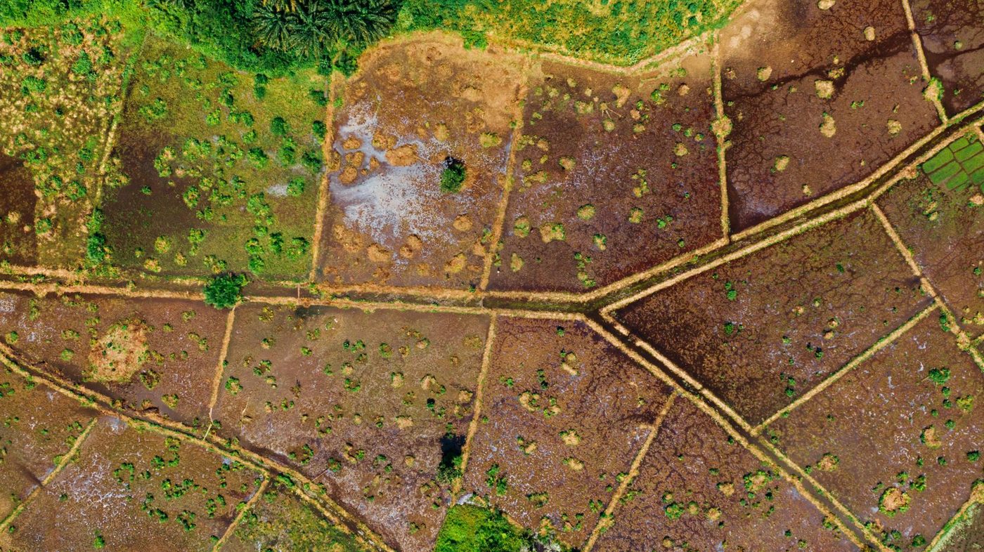 Terrain, Constantine Centre